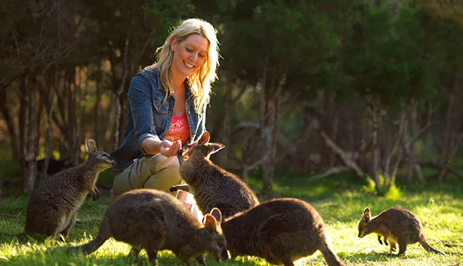 1 Day Phillip Island Ultimate Eco4