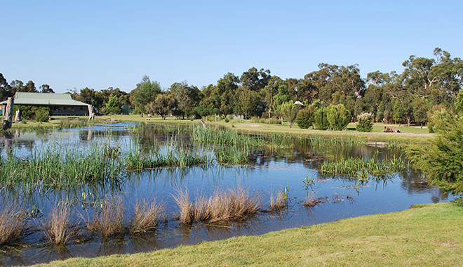 1 Day Phillip Island Ultimate Eco5