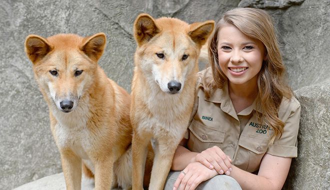 10388B BindiIrwin AustraliaZoo
