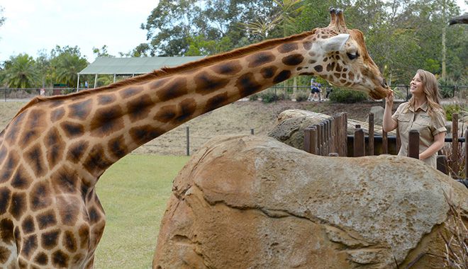 10938B BindiIrwin AustraliaZoo