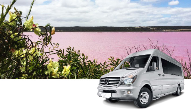 11 benz rental per 2