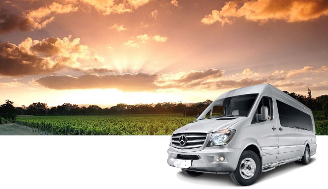 11 benz rental per 7