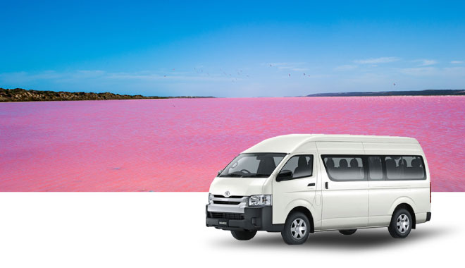 11 car rental per 6