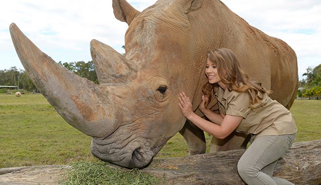 11134B BindiIrwin AustraliaZoo