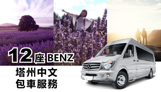 12 car rental tas 1