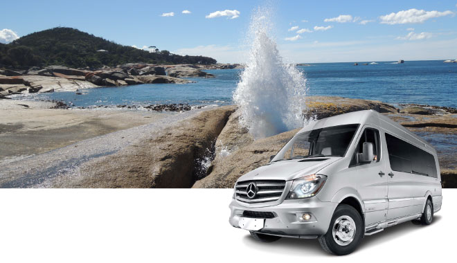 12 car rental tas 4