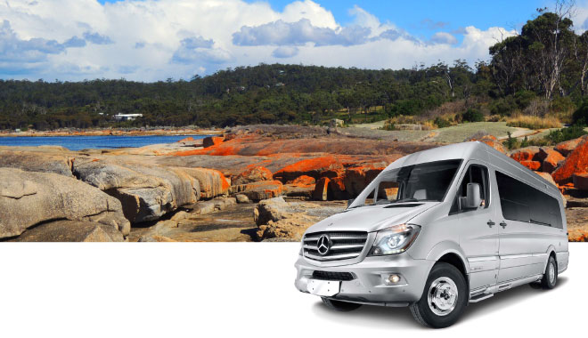 12 car rental tas 5