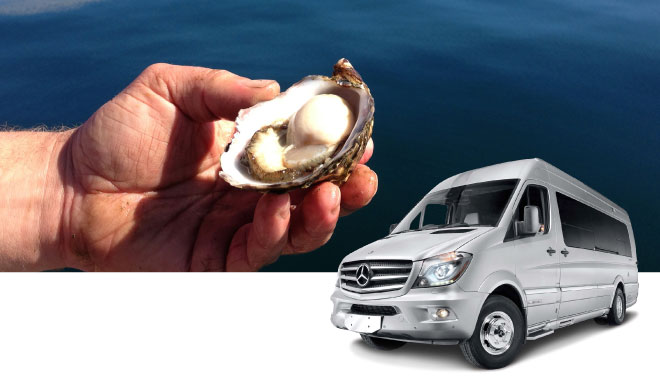 12 car rental tas 7