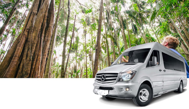 12benz car rental ool 2