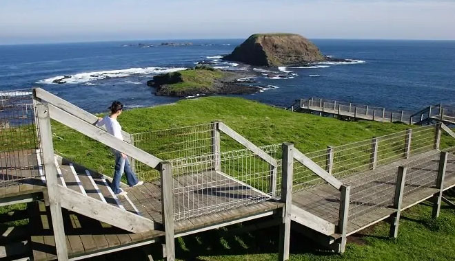 2 Day Must Do Melbourne4