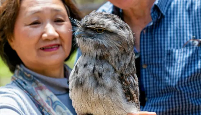 2 Day Must Do Melbourne5