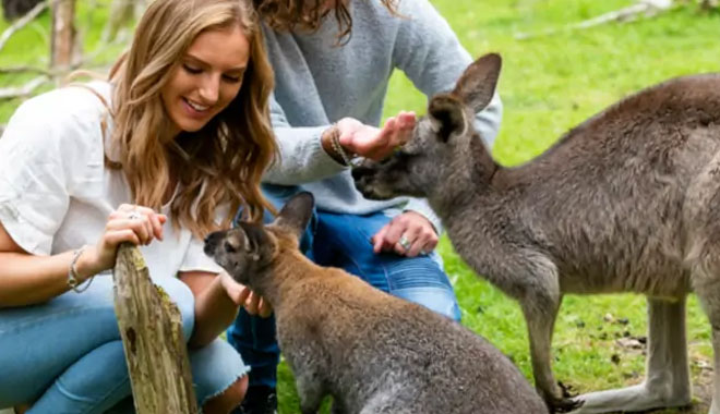 2 Day Must Do Melbourne6