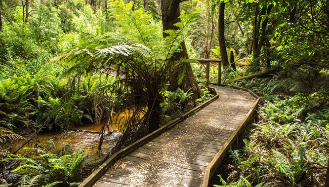 20140103 DSC00274 untitled113