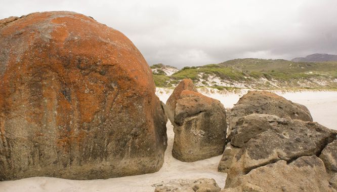 20140103 DSC00381 untitled220