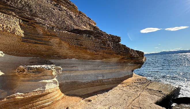 20250224 Maria Island Queenie 01
