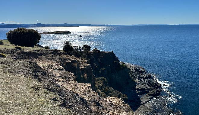 20250224 Maria Island Queenie 06