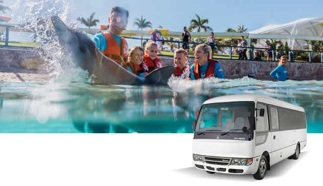 21 car rental ool 3