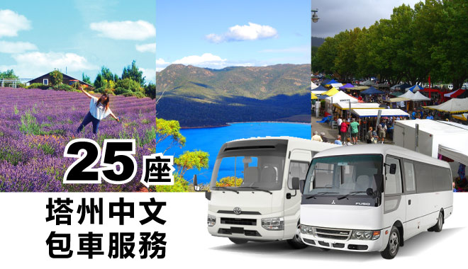 25 car rental tas 1