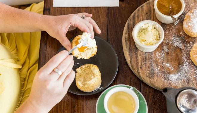 Cairns City Sights & Surrounds