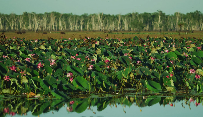 3 day Kakadu Litchfield Tour 1