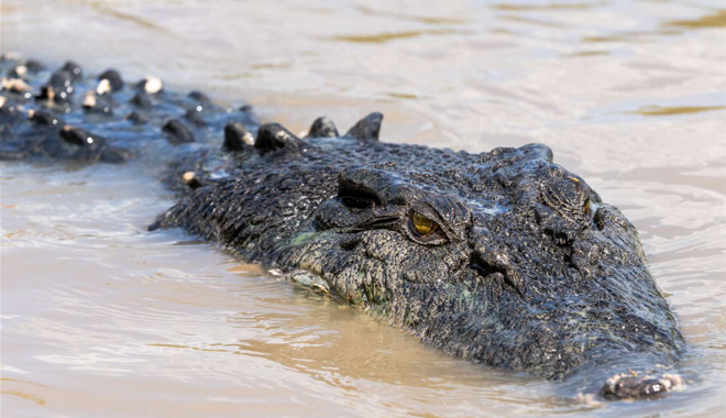 3 day Kakadu Litchfield Tour 10