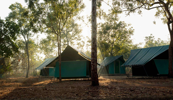 3 day Kakadu Litchfield Tour 5