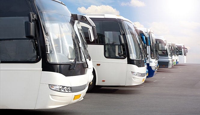 30 35 car rental syd 2 jpg