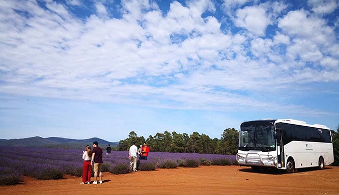 30 35 car rental syd 8 jpg