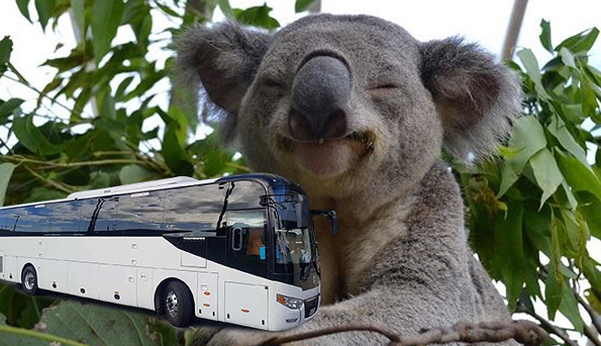 30 35 car rental syd pic 11 jpg