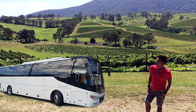 30 35 car rental syd pic 9 jpg