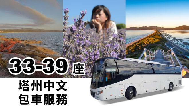 33 39 car rental tas1
