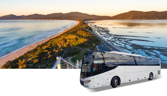 33 39 car rental tas2