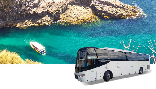 33 39 car rental tas3