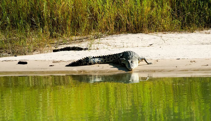 3A Kakadu National Park Full Day Tour 002