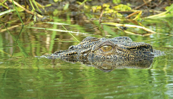 3A Kakadu National Park Full Day Tour 026