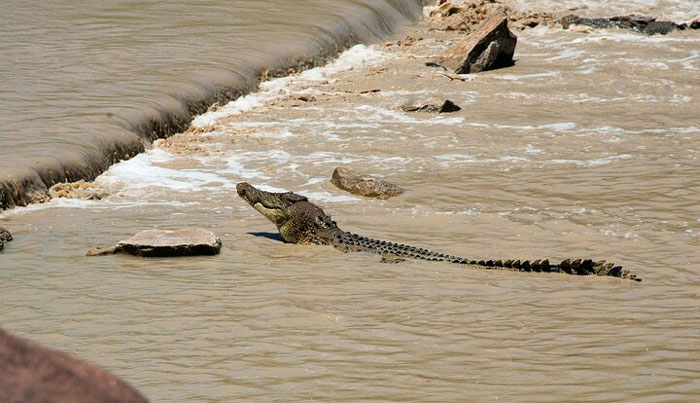 3A Kakadu National Park Full Day Tour 052