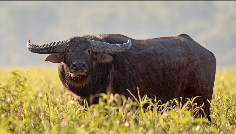 3A Kakadu National Park Full Day Tour WEB 2001 