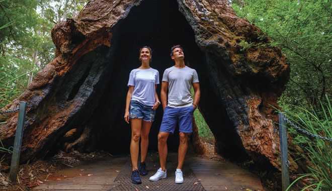 Ancient Empire walk trail, Walpole Nornalup National Park