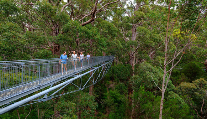 4 Day Albany, ANZAC Tree Top Walk & Margaret River 004
