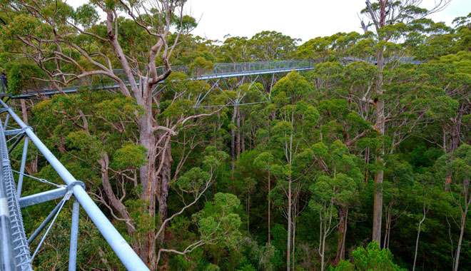 4 Day Albany, ANZAC Tree Top Walk & Margaret River 008