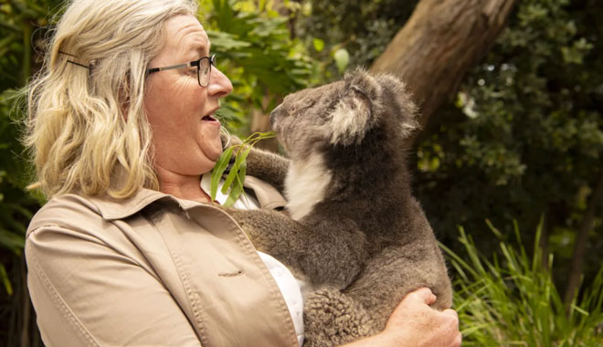 4 Day Emu Bay Wine and Wildlife ki