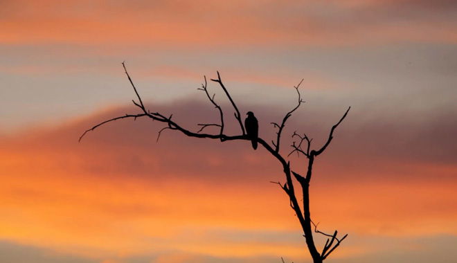 4 day kakadu outback adventure tour6