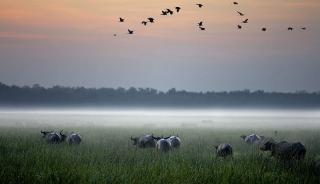 4 day kakadu outback adventure tour9