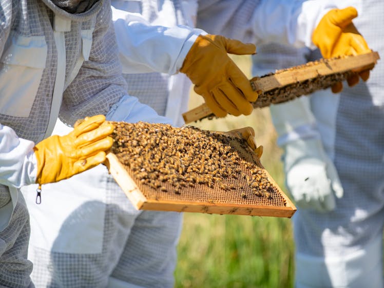 439a44187b4f1ec2b957dc2a690812d5