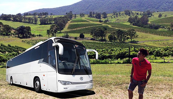 48 car rental syd 8 jpg