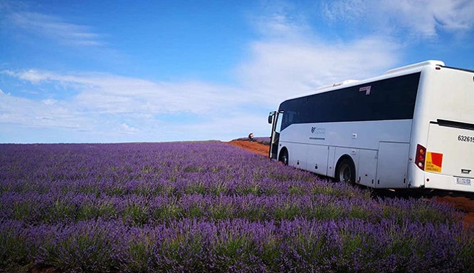 48 car rental syd inside new 19 jpg