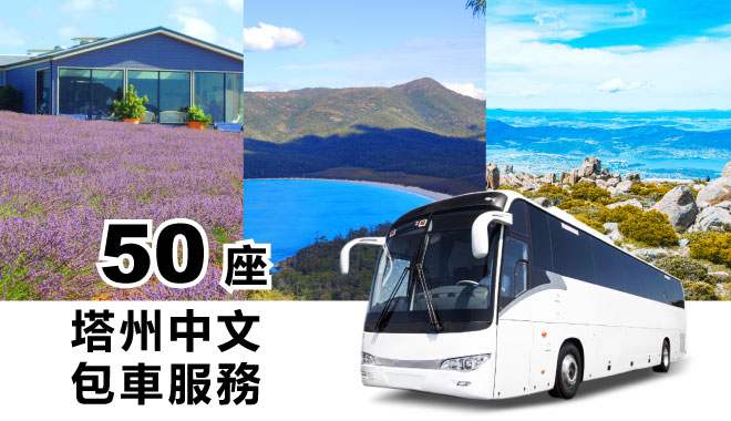 50 car rental tas1