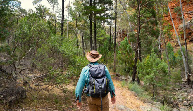 6 Day Eyre Peninsula & Flinders Ranges Ex Adelaide 005