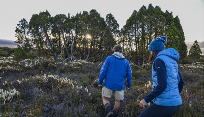 Heartlands Odyssey Comfort Tour