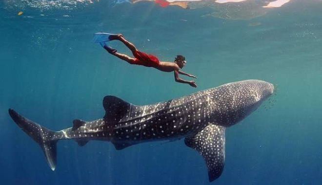 7 Day Maldives Tour Snorkel, Sand & Sun (10)